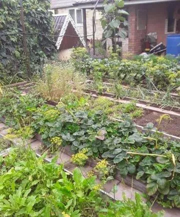 Дом, 50 кв.м на участке 2 сот