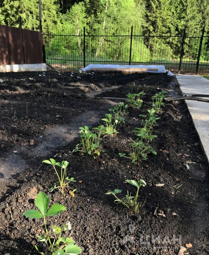 Дом, 450 кв.м на участке 30 сот