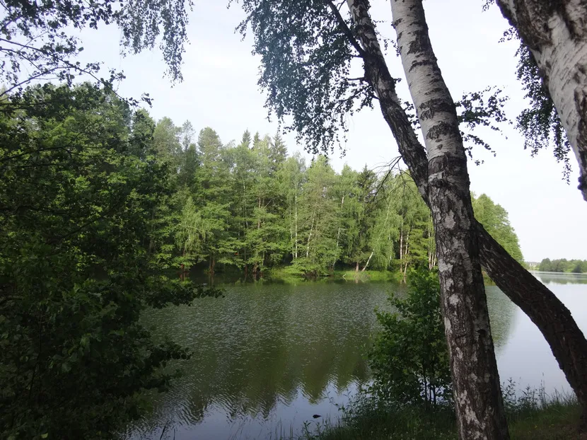 Коттеджный посёлок «Берёзки Вилладж»