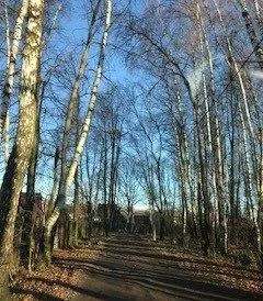 Участок 4 сот