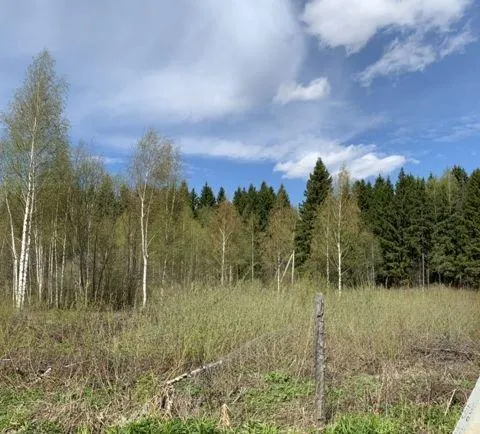 Участок 6 сот