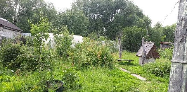 Участок 12 сот