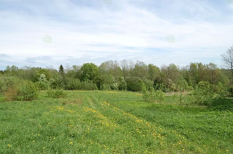 Коттеджный посёлок «Федюково»