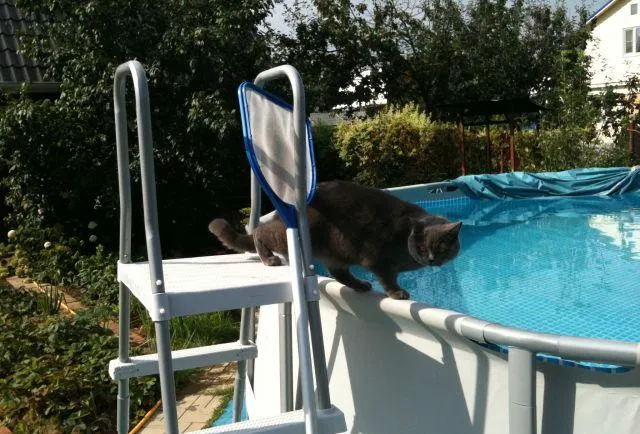 Дом, 75 кв.м на участке 12 сот