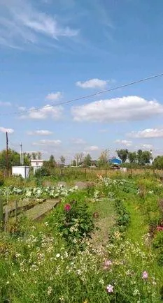 Участок 7.7 сот