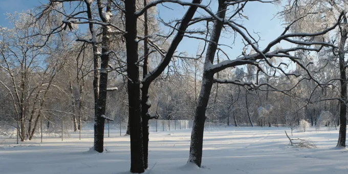 Коттеджный посёлок «Николино Парк»