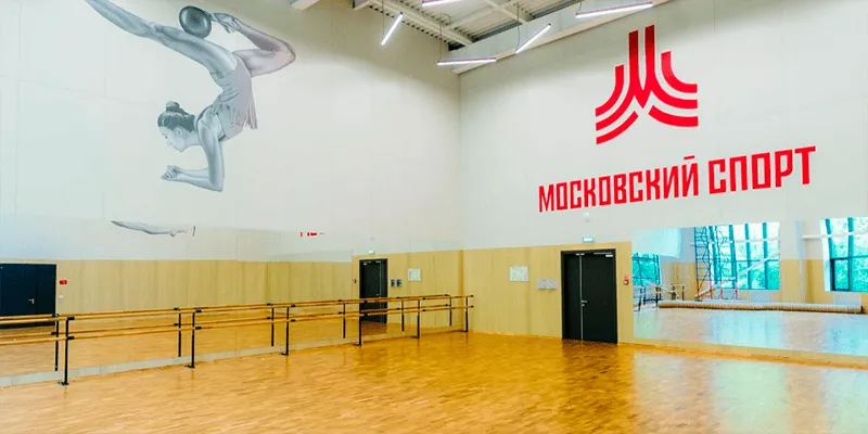 Спортивный комплекс «Западный»: хоккей, гимнастика, борьба — Москва, Чоботовская