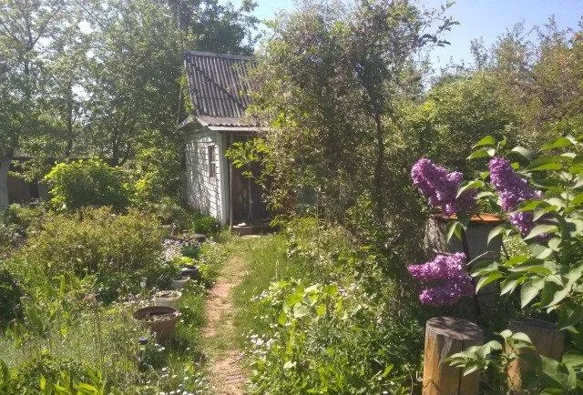 Участок 6 сот