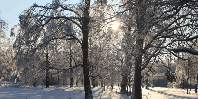 Коттеджный посёлок «Николино Парк»