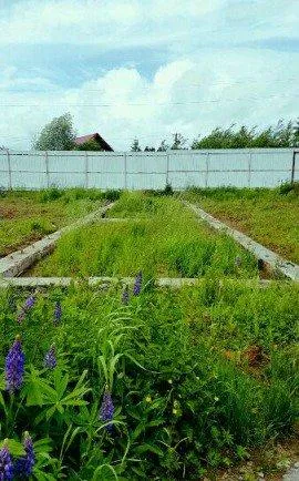 Участок 15 сот