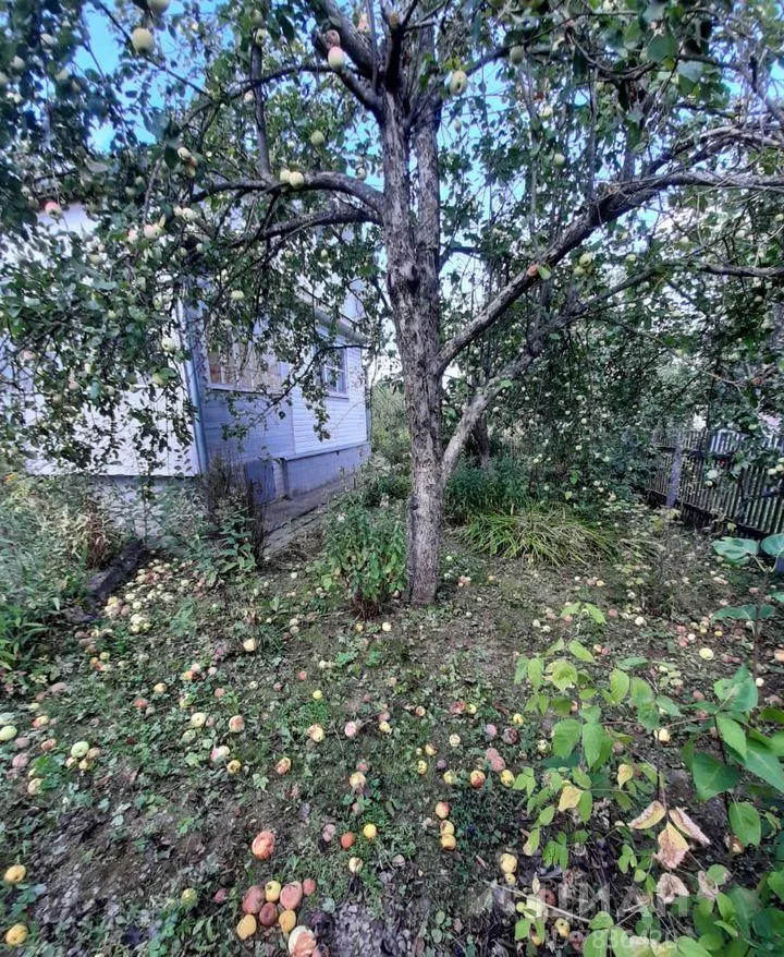 Дом, 116 кв.м на участке 13 сот