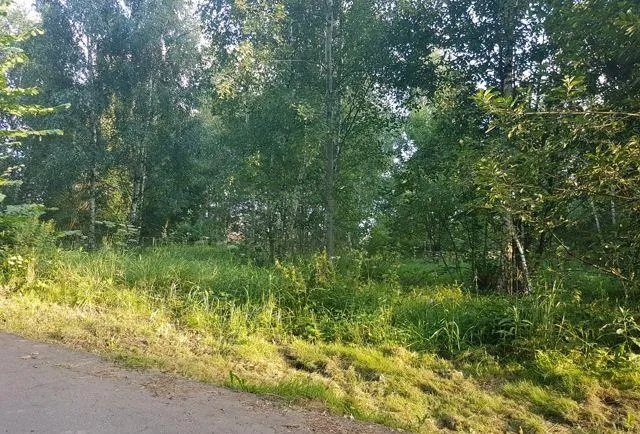 Участок 13 сот