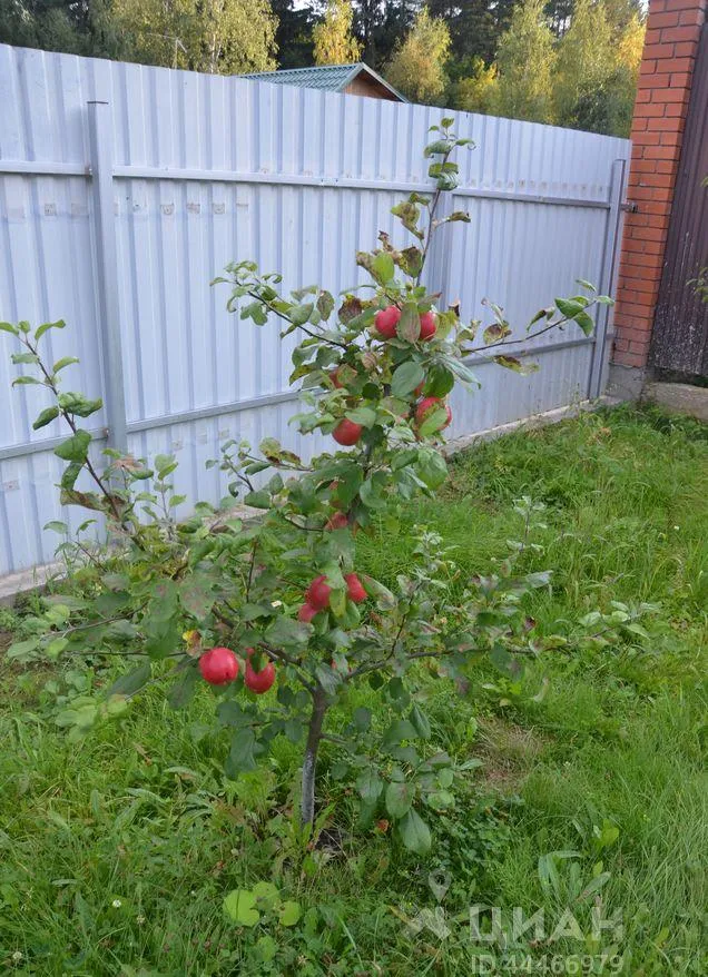 Дом, 100 кв.м на участке 18 сот