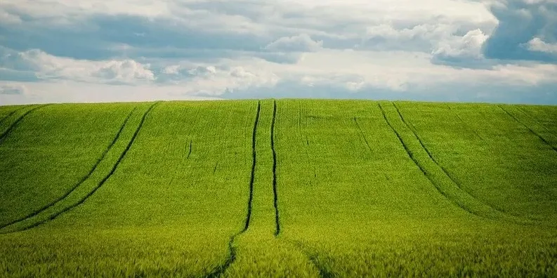 Фермерам могут разрешить оформлять землю в собственность бесплатно