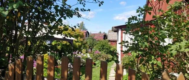 Участок 6 сот