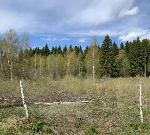 Участок 6 сот