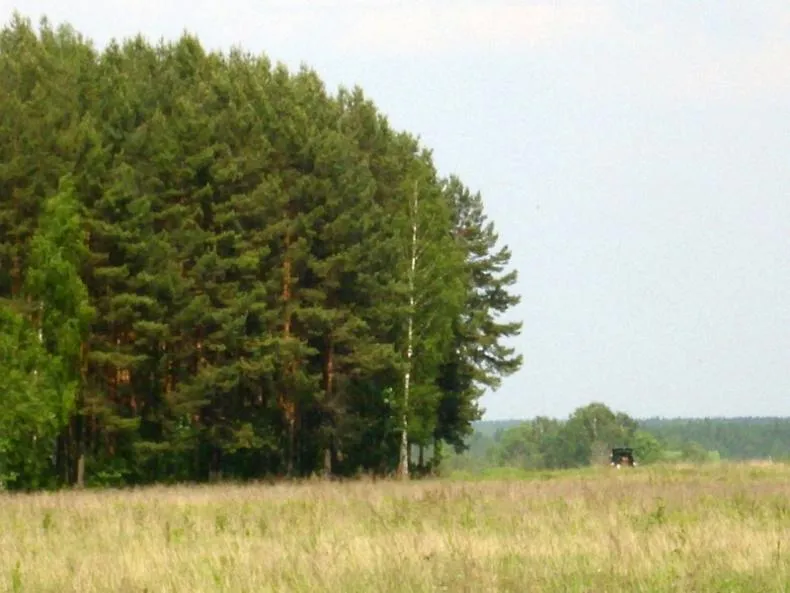 Коттеджный посёлок «Елизарово-Park (Елизарово-Парк)»