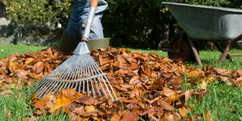Новые правила сжигания мусора на дачных участках