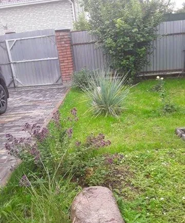 Дом, 50 кв.м на участке 2 сот