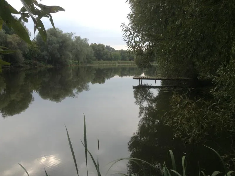 Коттеджный посёлок «Ширяевские Усадьбы»