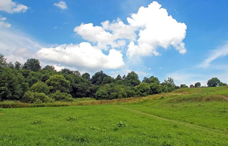 Коттеджный посёлок «Кутузовские холмы»