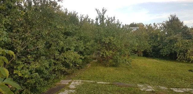 Участок 6 сот