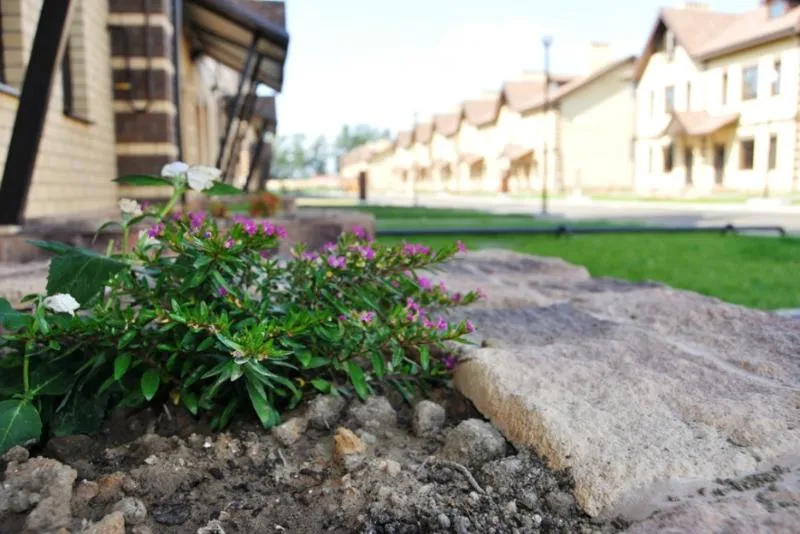 Коттеджный посёлок «Московские дали»