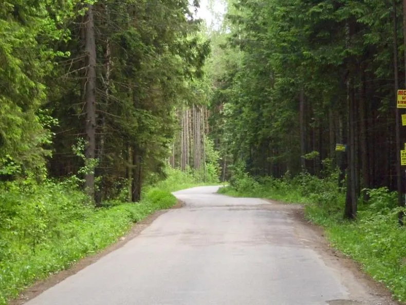 Коттеджный посёлок «Елизарово-Park (Елизарово-Парк)»