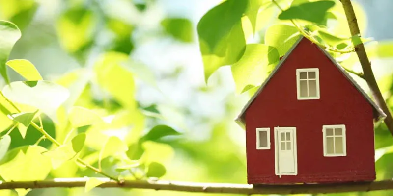 Дачная амнистия: что это такое и как воспользоваться