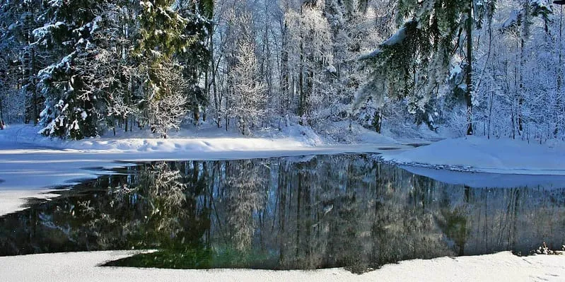 Участок 10 сот.