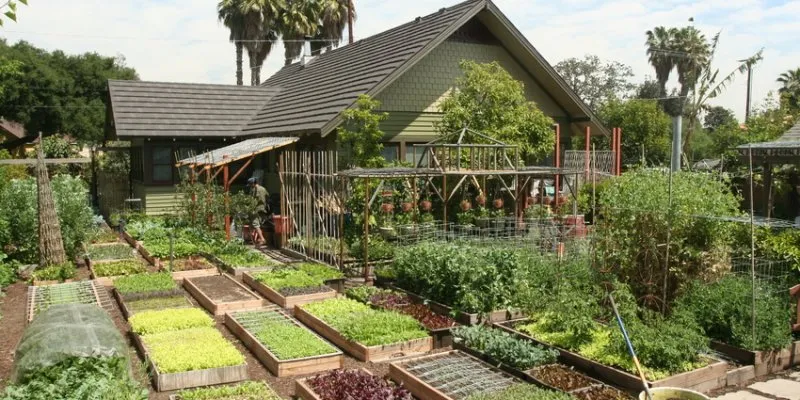 Разновидности грядок и способы их формирования