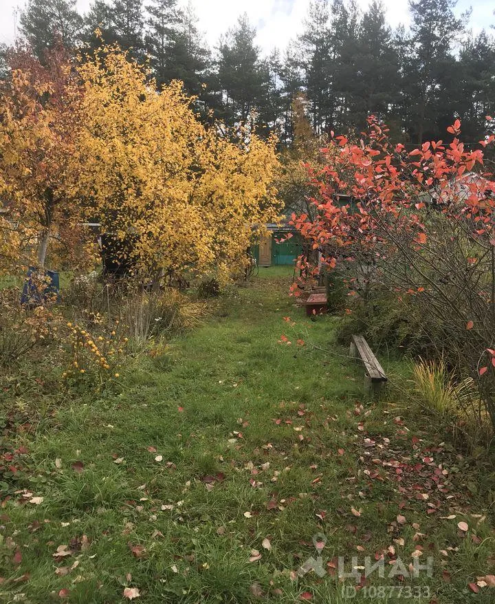 Участок 12 сот