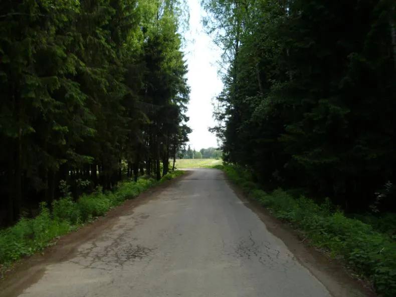 Коттеджный посёлок «Елизарово-Park (Елизарово-Парк)»