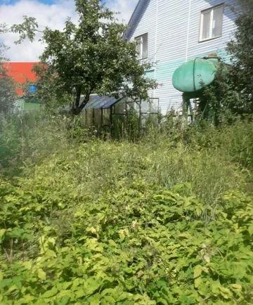 Дом, 45 кв.м на участке 11 сот