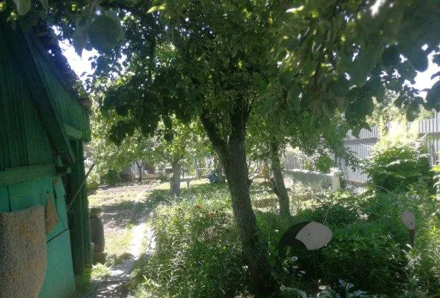 Дом, 54 кв.м на участке 3 сот