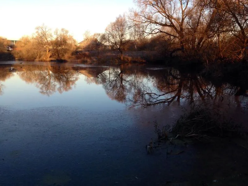 Коттеджный посёлок «Ширяевские Усадьбы»