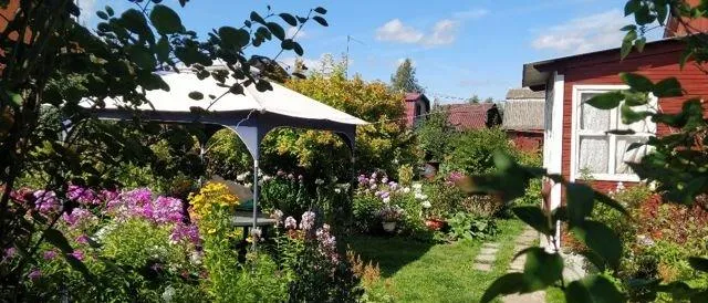 Участок 6 сот