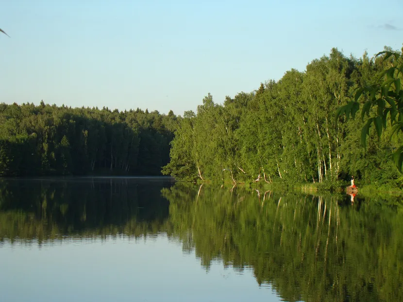 Коттеджный посёлок «Берёзки Вилладж»