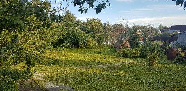 Участок 6 сот