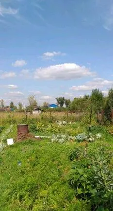 Участок 7.7 сот