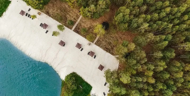 Грин Форест Премиум (Green Forest Premium)