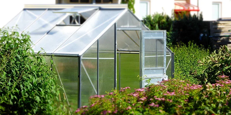 Теплицы: какие они бывают и как их выбирать
