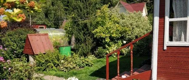 Участок 6 сот