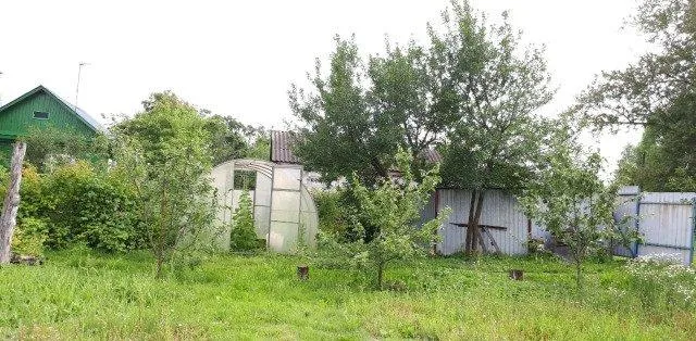 Участок 12 сот