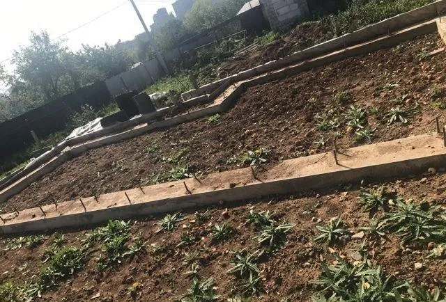 Участок 6 сот