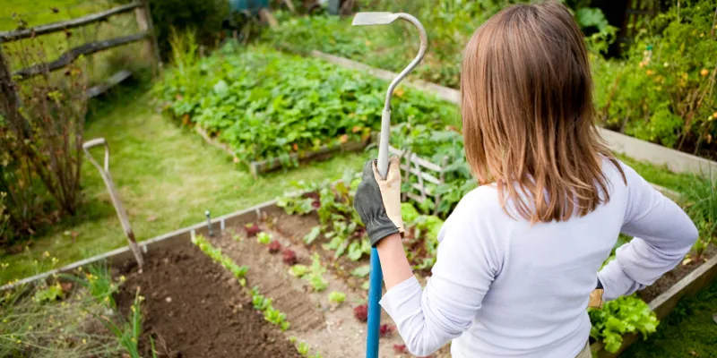 Как подготовить сад к сезону