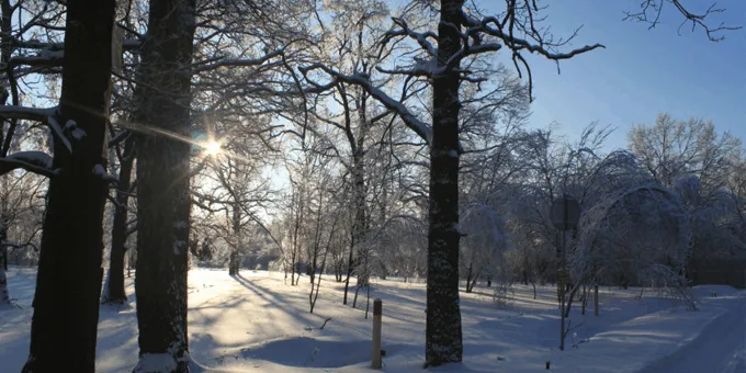Коттеджный посёлок «Николино Парк»