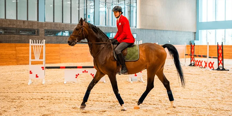 Конноспортивный комплекс на ЦМИ — приоритетный инвестпроект Москвы | 11,35 млрд рублей