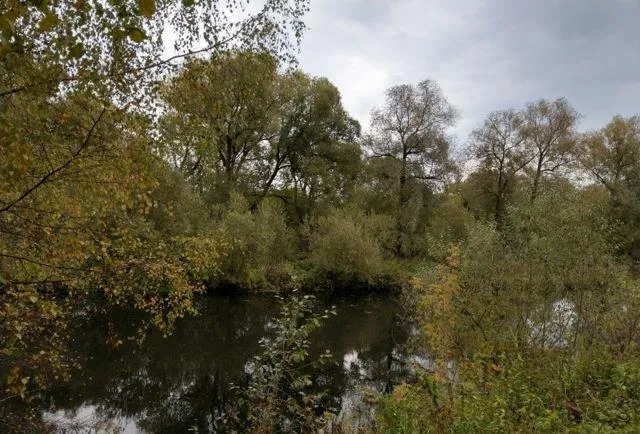 Дом, 300 кв.м на участке 18 сот