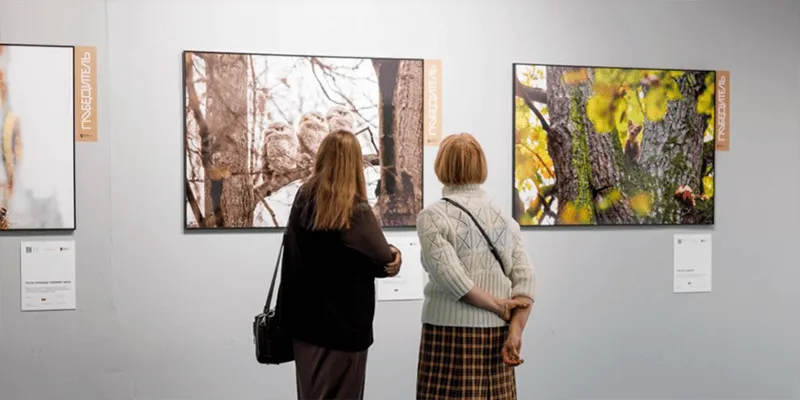 Открыт прием работ на конкурс «Дикая природа Москвы» в рамках фестиваля «Золотая черепаха»